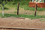 1116vsk2474.JPG