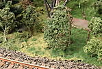 1116vsk2503.JPG