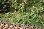 1116vsk2504.JPG