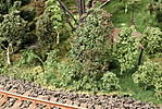 1116vsk2505.JPG