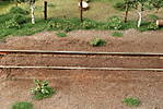 1116vsk2509.JPG
