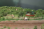 1116vsk2516.JPG