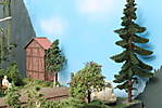 1116vsk2579.JPG