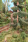 1116vsk2679.JPG