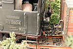 1116vsk3073.JPG