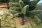 1116vsk3207.JPG