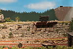 1116vsk3239.JPG