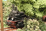 1116vsk3401.JPG