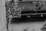 1116vsk3439_2_.JPG