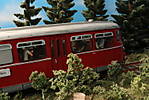 1116vsk3582.JPG