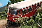 1116vsk3650.JPG