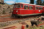 1116vsk3704.JPG