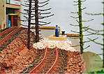 1116vsk461.jpg