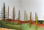 1116vsk462.jpg