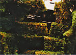 1116vsk584.jpg