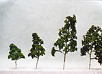 1116vsk588.jpg