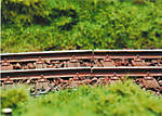 1116vsk689.jpg