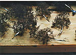 1116vsk697.jpg