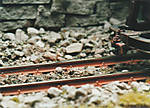 1116vsk700.jpg
