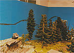 1116vsk783.jpg