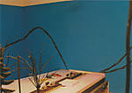 1116vsk784.jpg