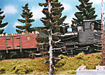 1116vsk976.jpg
