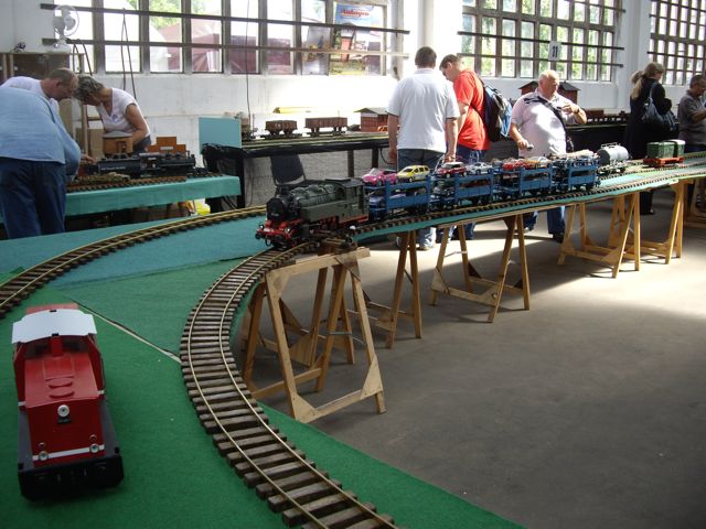 IMGP2455