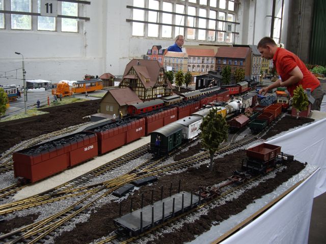 IMGP2462