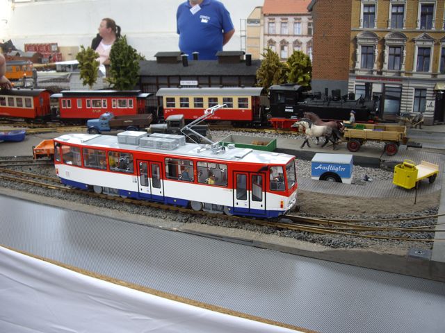 IMGP2463
