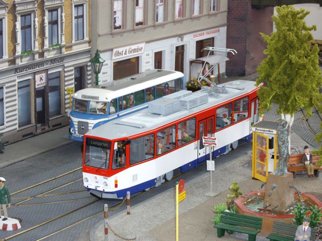 IMGP2465