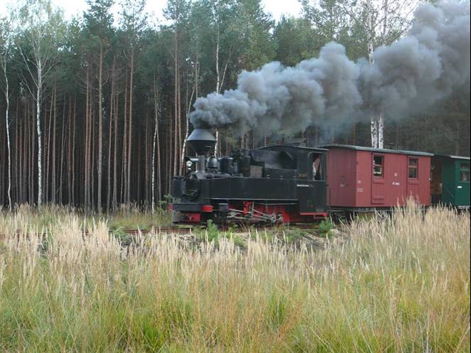 WEM 99 3317 vor Trebendorf