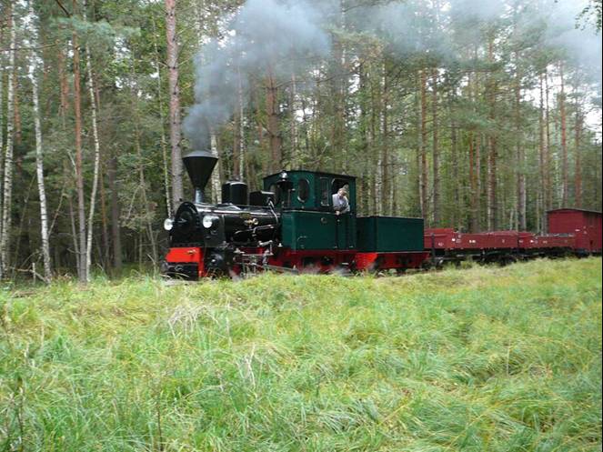 WEM 99 3351 oberhalb Mühlrose