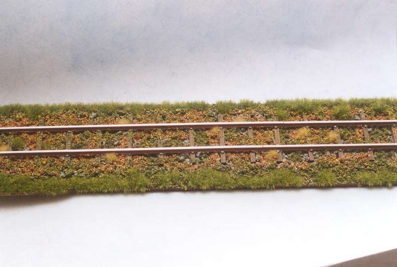 Feldbahngleis begrast