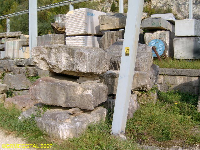 SV408817
