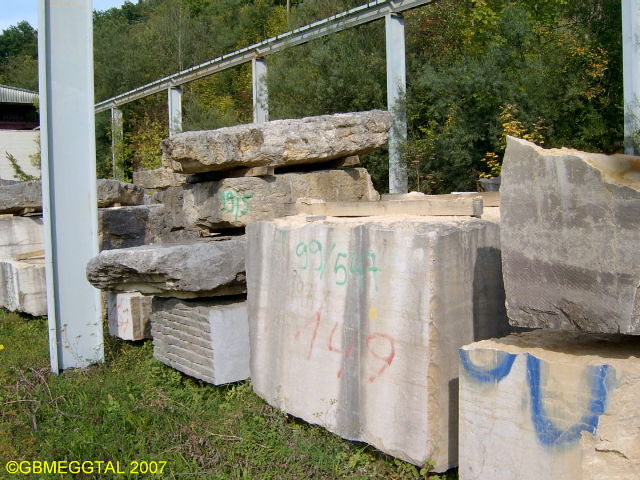 SV408821