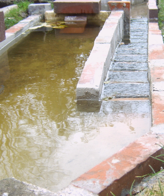 Fischtreppe-Test-oben-BBF