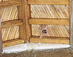 1285Schuetz-Test-01-BBF.jpg