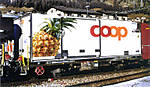 292coop_ananas.jpg
