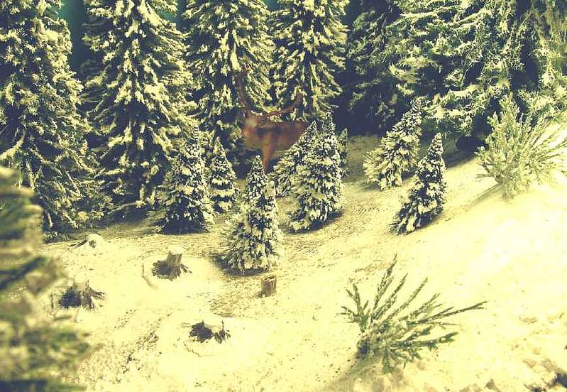 Hirsch_im_Winterwald