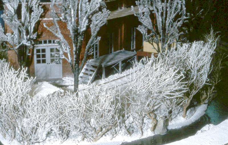 Winter_4