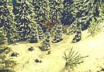 2859Hirsch_im_Winterwald.jpg