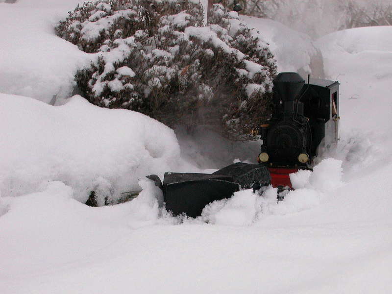 Winterdampf 2010