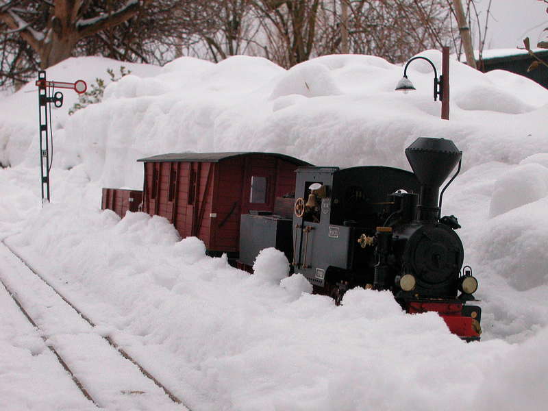 Winterdampf 2010