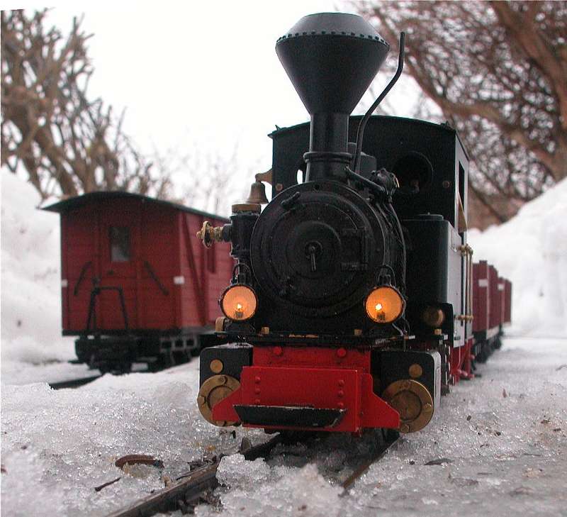 Winterdampf 2010