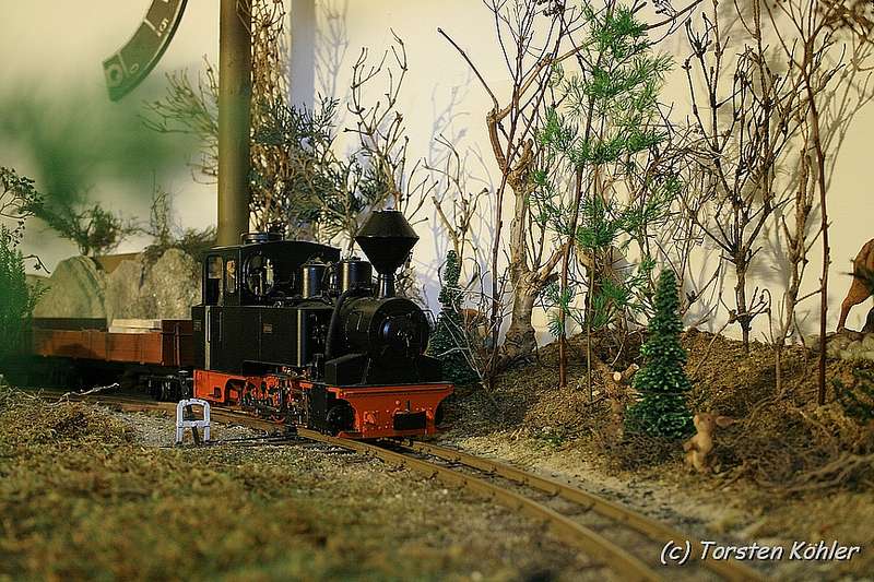 Bild