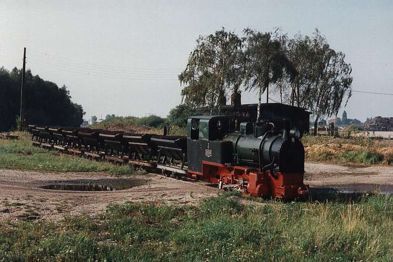 1994 MFLL