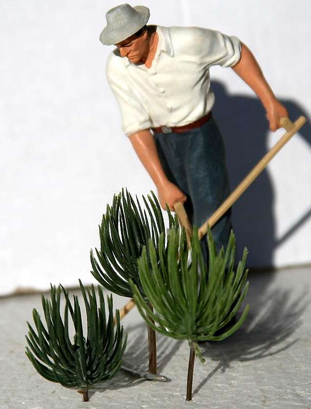 No_10