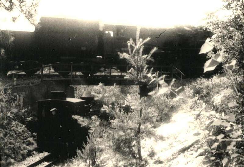 Sonderfahrt_WEM_26_Juni_1976_