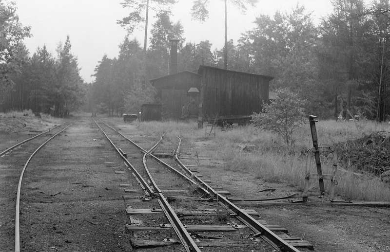 Tiergarten_Ost-_Foto_Kieper