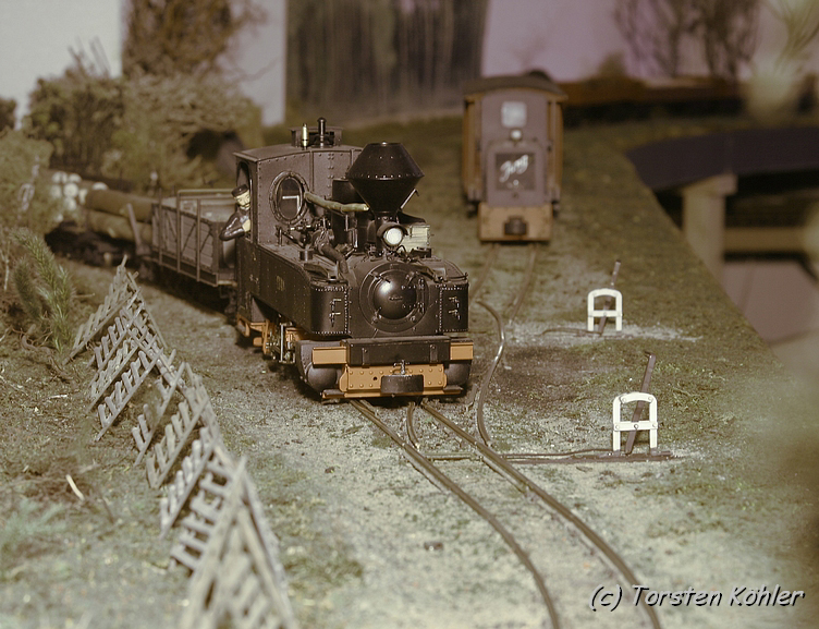 WEM-Gora_Weiche